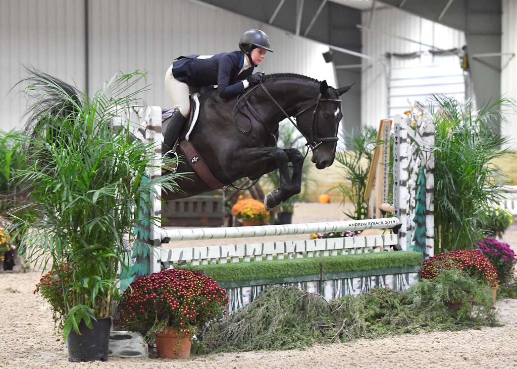 Chloe jumping a black horse indoors